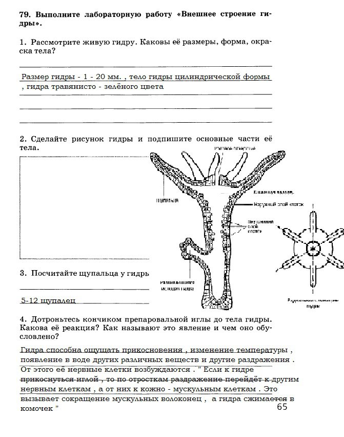 Ссылка на кракен тор kraken2 4aa337