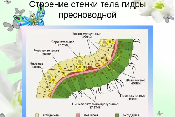 Восстановить аккаунт кракен