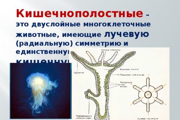 Кракен даркнет площадка ссылка